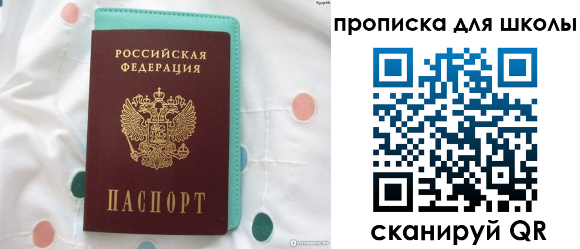 временная регистрация для всех в Коле